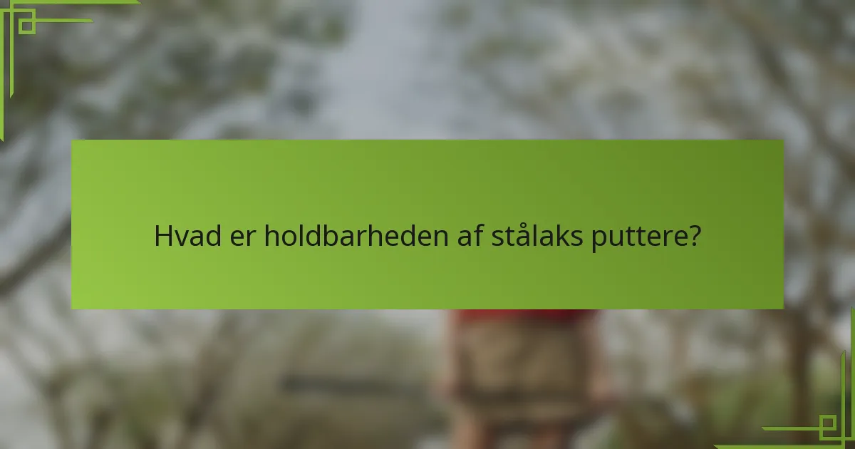 Hvad er holdbarheden af stålaks puttere?