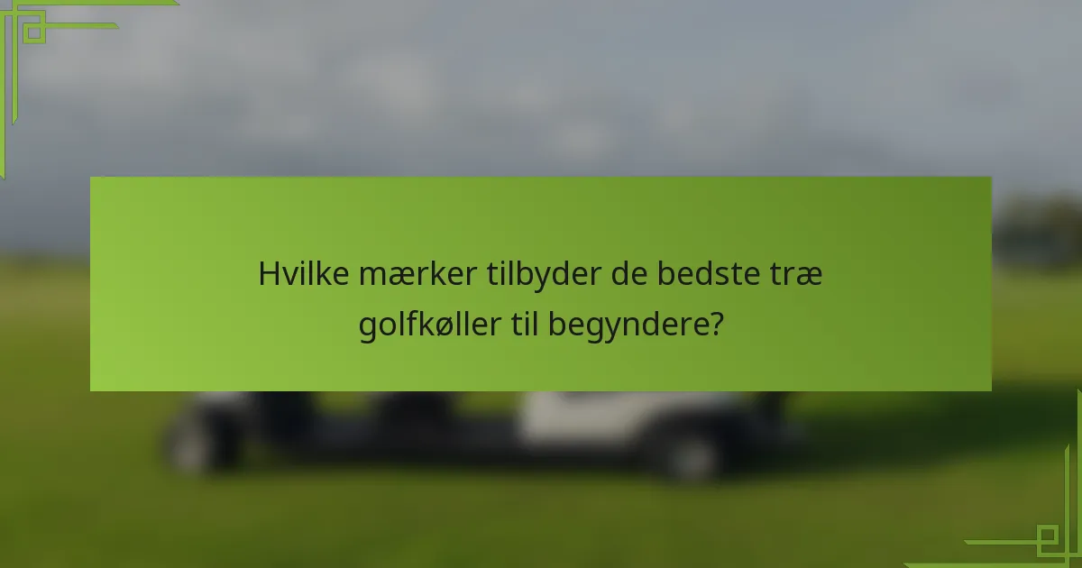 Hvilke mærker tilbyder de bedste træ golfkøller til begyndere?